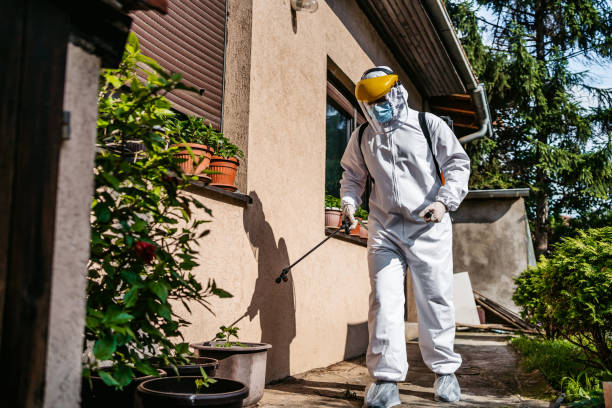 Reliable Mount Ephraim, NJ Pest Control Solutions