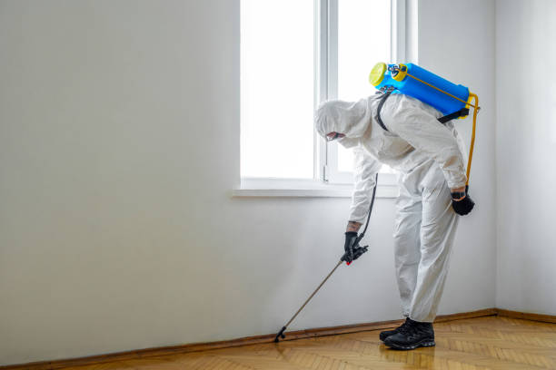 Best Pest Prevention Services  in Mount Ephraim, NJ